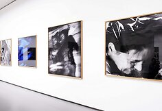 Jimo Dine'o paroda