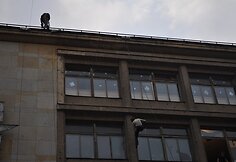 Alpinistų treniruotė Vilniaus centre