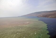Išsiveržęs povandeninis ugnikalnis pakeitė vandens spalvą.