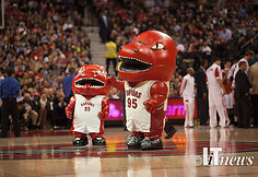 &bdquo;Toronto Raptors&ldquo; talismanai
