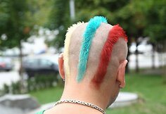 Sirgaliai Jesenicėse