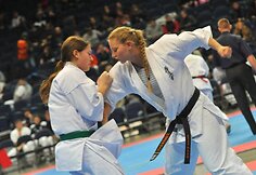 Čempionate dalyvavo per 200 sportininkų i&scaron; 25 Senojo žemyno &scaron;alių. 