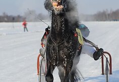 Sartų lenktynės vyko jau 106-ąjį kartą