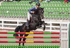 6-mečių žirgų užskaitos čempionas Danielius Gutkauskas ir Palladium KVJ