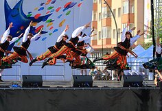 &Scaron;iaulių gimtadienis