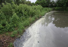 Užter&scaron;tame tvenkinyje nugai&scaron;o kelios de&scaron;imtys kilogramų žuvų
