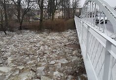 Ledone&scaron;is