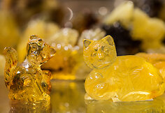 Paroda &bdquo;Amber trip&ldquo;
