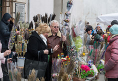 Verbų sekmadienis