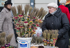 Verbų sekmadienis