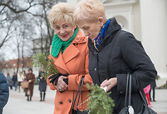 Verbų sekmadienis