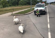 Pareigūnai trumpam sustabdė eismą