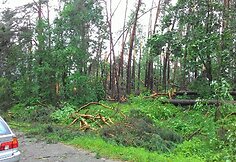 Nusiaubtas &Scaron;e&scaron;kinės takas