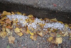 Ledukai Fabijoniškių mikrorajone