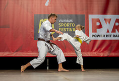 „Vilniaus sporto festivalis 2017“