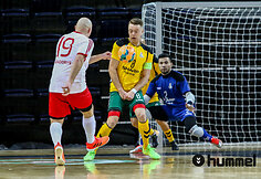 &bdquo;Vytis&ldquo; &ndash; &bdquo;Baltai&ldquo;