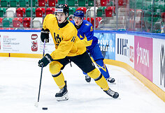 Lietuva &ndash; Ukraina