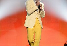 Pitbullis