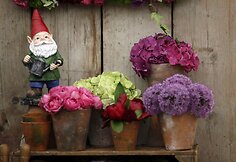 „Chelsea Flower Show“ paroda