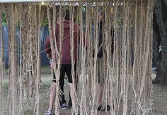 „Positivus“ festivalis