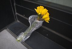 Gėlės prie L'Wren Scott namų