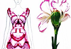 Grace Ciao kurta iliustracija i&scaron; tikrų gėlių žiedų