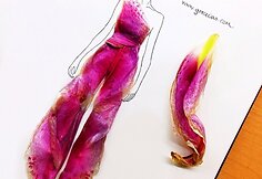 Grace Ciao kurta iliustracija i&scaron; tikrų gėlių žiedų
