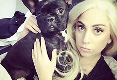 Lady Gaga su savo augintine Asia