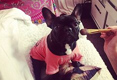 Lady Gagos augintinė Asia