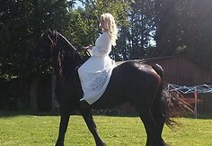 Vaida Genytė