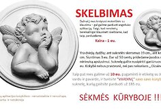 Natalija &Scaron;akelienė kaltina Indrę Kvedarienę plagijavimu
