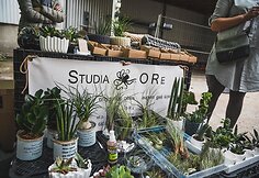 Festivalio &bdquo;Loftas Fest&ldquo; akimirka