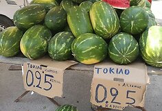 Ligitos Juknevičiūtės viešnagė Graikijoje