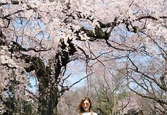 Chryseis Tan Japonijoje