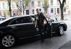 Stingo komanda