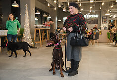 &bdquo;Me & My Dog&ldquo; renginys