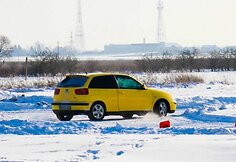 SEAT ir „Ford Escort“ klubų susitikimas