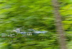 Antras &bdquo;Fast Lap 2012&ldquo; etapas Bikerniekuose