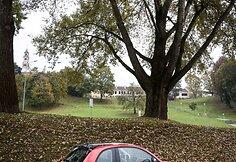 Atnaujintas &bdquo;Fiat 500&ldquo;