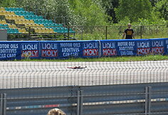 Plastikas trasoje