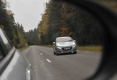 Ekologinio žygio akimirka