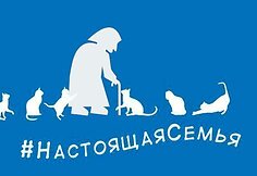 Patyčios iš „Vieningosios Rusijos“ logotipo