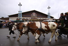 Nuotraukos pavadinimas