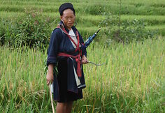 Vietnamas