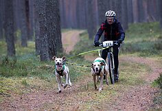 news_5bd5e353787455017a4e.jpg