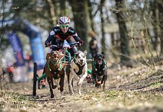 news_5bd5e353a7f22b2a84f8.jpg