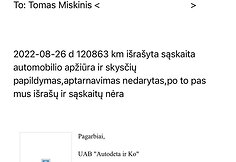 Ausmos Mi&scaron;kinienės ataskaitos ir susira&scaron;inėjimas su Andriumi Tapinu