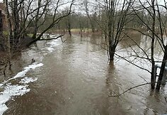 Audros padariniai Plungės rajone