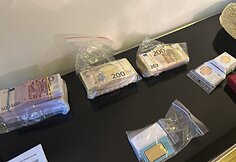Įkalčiai po kratų Augalininkystės tarnybos byloje