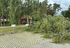Lietuvoje siaučia audra: 15min skaitytojai dalijasi vaizdais